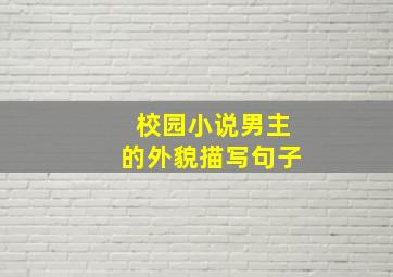 校园小说男主的外貌描写句子