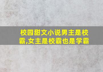 校园甜文小说男主是校霸,女主是校霸也是学霸