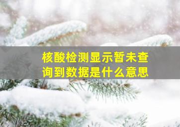 核酸检测显示暂未查询到数据是什么意思