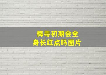 梅毒初期会全身长红点吗图片