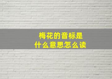 梅花的音标是什么意思怎么读