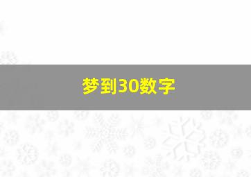 梦到30数字