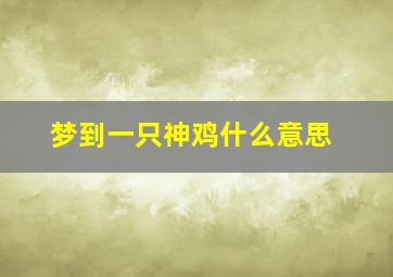 梦到一只神鸡什么意思