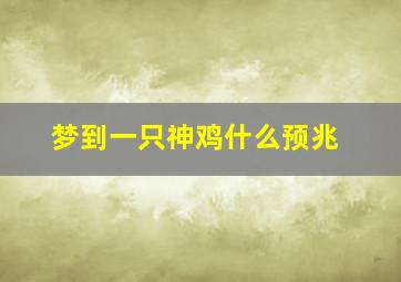 梦到一只神鸡什么预兆