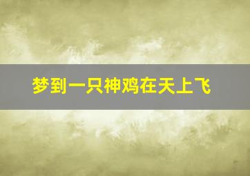 梦到一只神鸡在天上飞