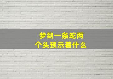 梦到一条蛇两个头预示着什么