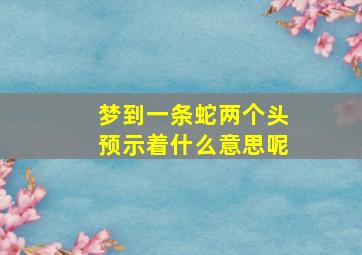 梦到一条蛇两个头预示着什么意思呢