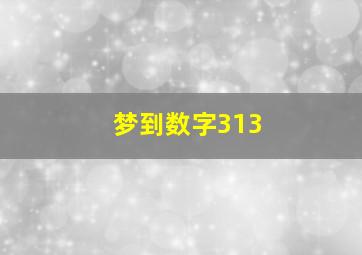 梦到数字313