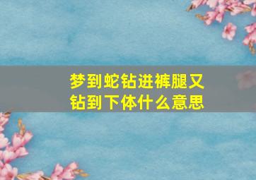 梦到蛇钻进裤腿又钻到下体什么意思