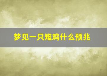 梦见一只雉鸡什么预兆