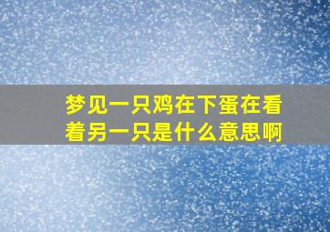 梦见一只鸡在下蛋在看着另一只是什么意思啊