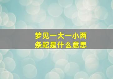 梦见一大一小两条蛇是什么意思