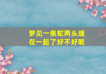 梦见一条蛇两头缠在一起了好不好呢