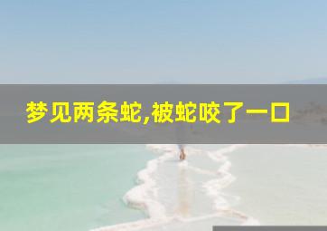 梦见两条蛇,被蛇咬了一口