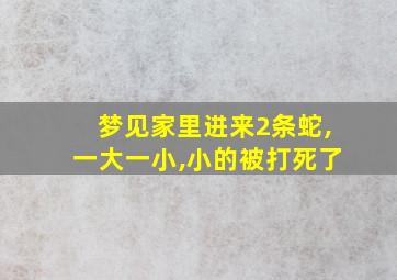 梦见家里进来2条蛇,一大一小,小的被打死了