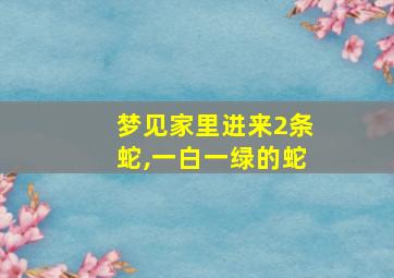 梦见家里进来2条蛇,一白一绿的蛇