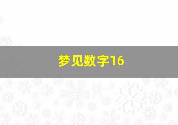 梦见数字16