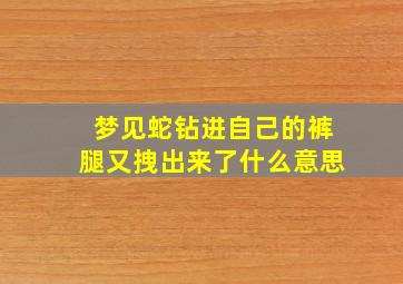 梦见蛇钻进自己的裤腿又拽出来了什么意思