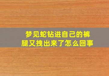 梦见蛇钻进自己的裤腿又拽出来了怎么回事