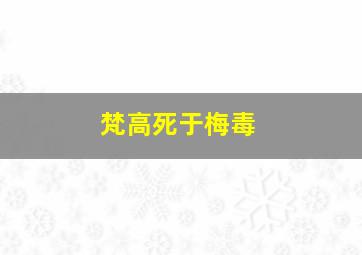 梵高死于梅毒