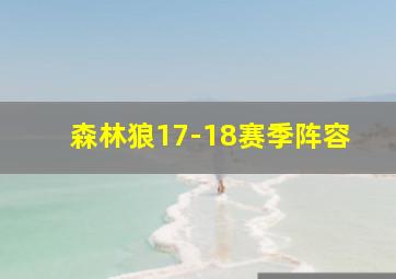 森林狼17-18赛季阵容