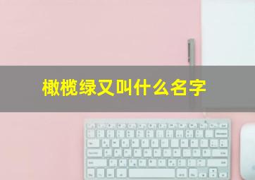 橄榄绿又叫什么名字