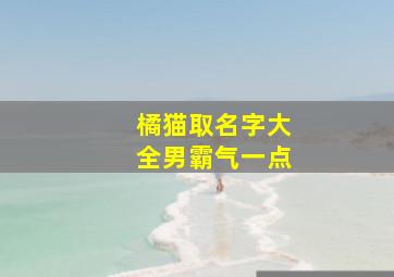 橘猫取名字大全男霸气一点