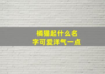 橘猫起什么名字可爱洋气一点