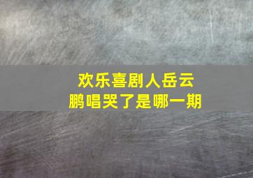 欢乐喜剧人岳云鹏唱哭了是哪一期