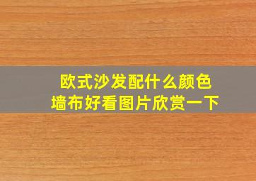 欧式沙发配什么颜色墙布好看图片欣赏一下