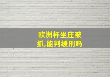 欧洲杯坐庄被抓,能判缓刑吗