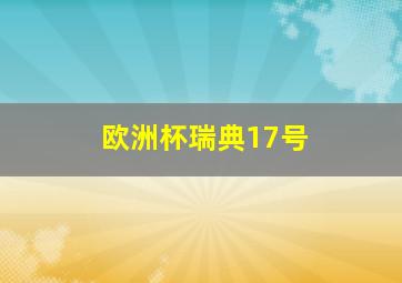 欧洲杯瑞典17号