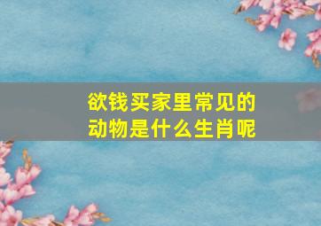 欲钱买家里常见的动物是什么生肖呢