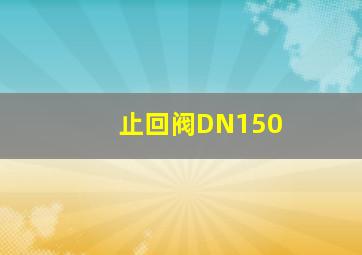 止回阀DN150