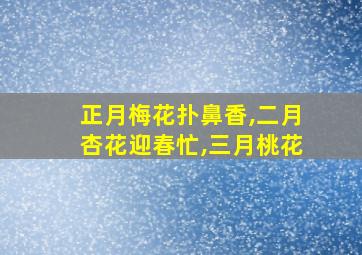 正月梅花扑鼻香,二月杏花迎春忙,三月桃花