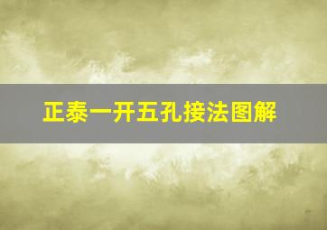 正泰一开五孔接法图解