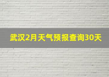 武汉2月天气预报查询30天