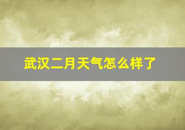 武汉二月天气怎么样了