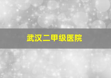 武汉二甲级医院