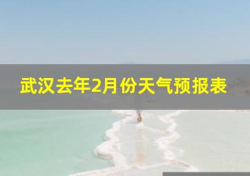 武汉去年2月份天气预报表