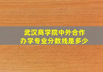 武汉商学院中外合作办学专业分数线是多少