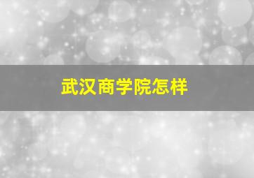 武汉商学院怎样