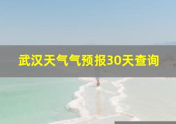 武汉天气气预报30天查询