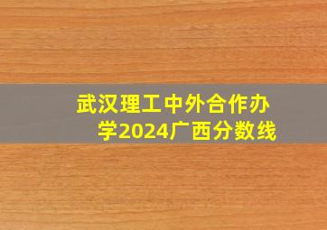 武汉理工中外合作办学2024广西分数线