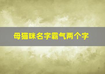 母猫咪名字霸气两个字