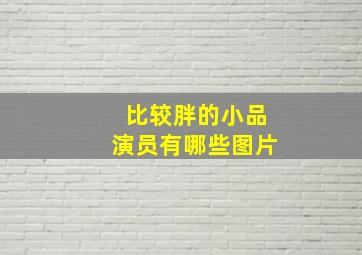 比较胖的小品演员有哪些图片