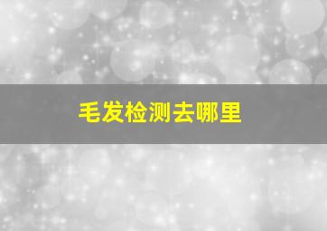 毛发检测去哪里