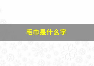 毛巾是什么字