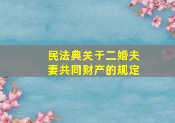 民法典关于二婚夫妻共同财产的规定