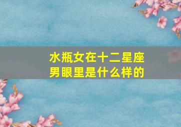 水瓶女在十二星座男眼里是什么样的